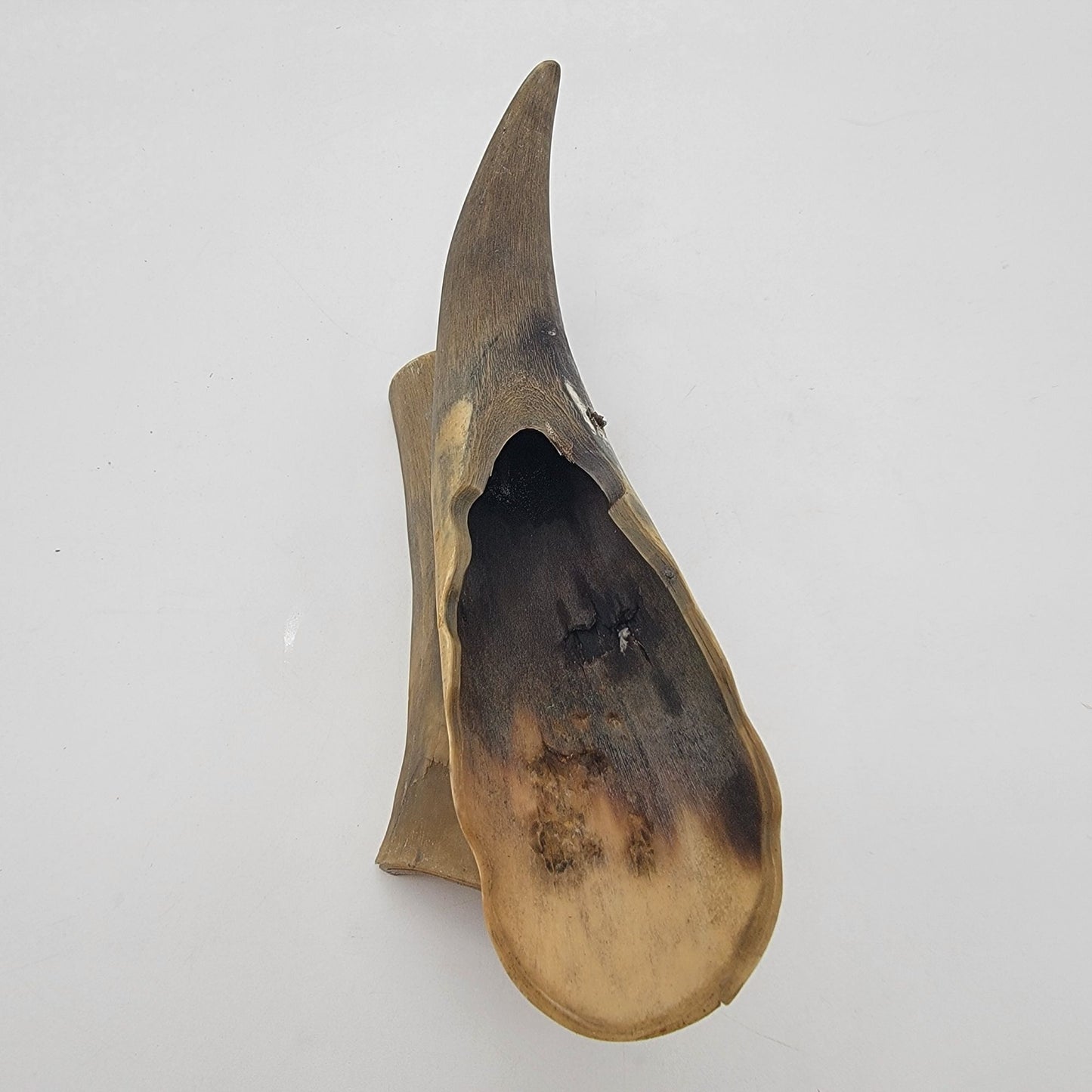 Vintage Horn Incense Burner Holder