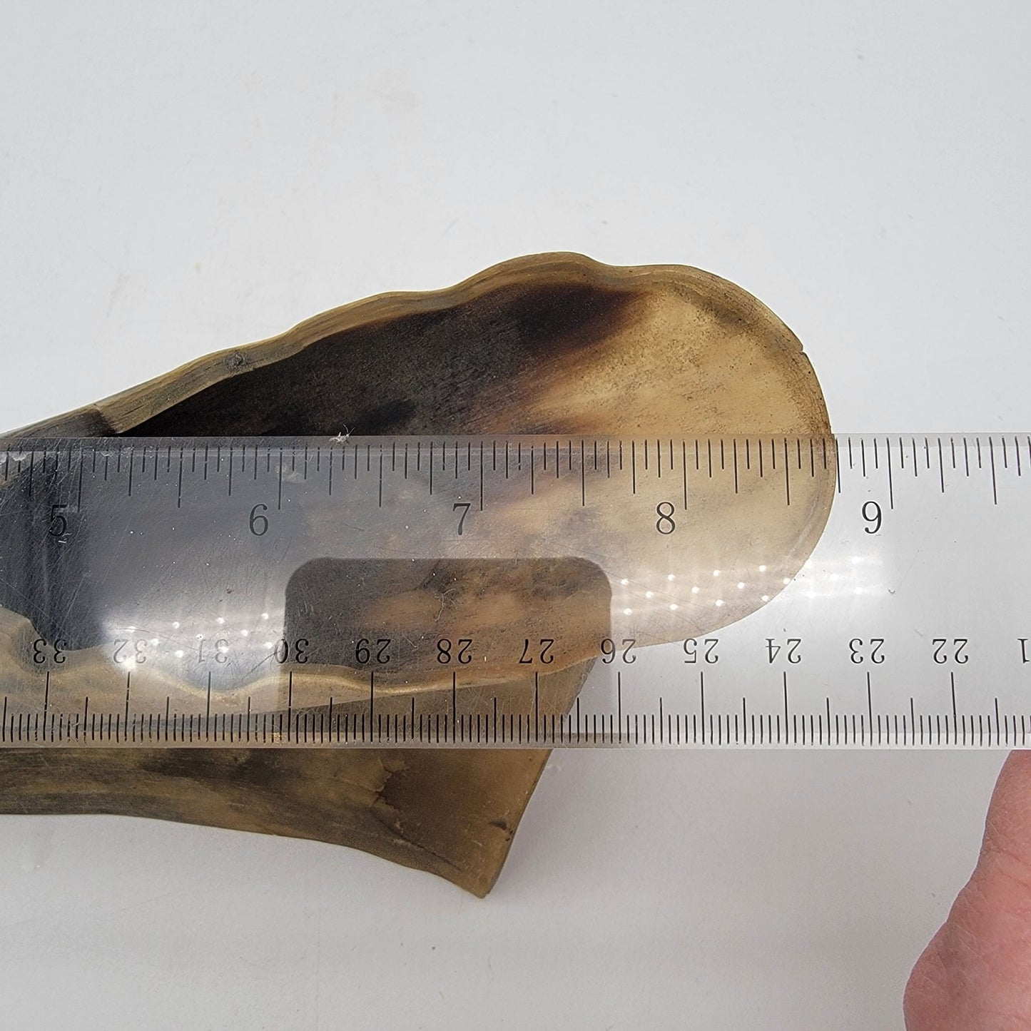 Vintage Horn Incense Burner Holder