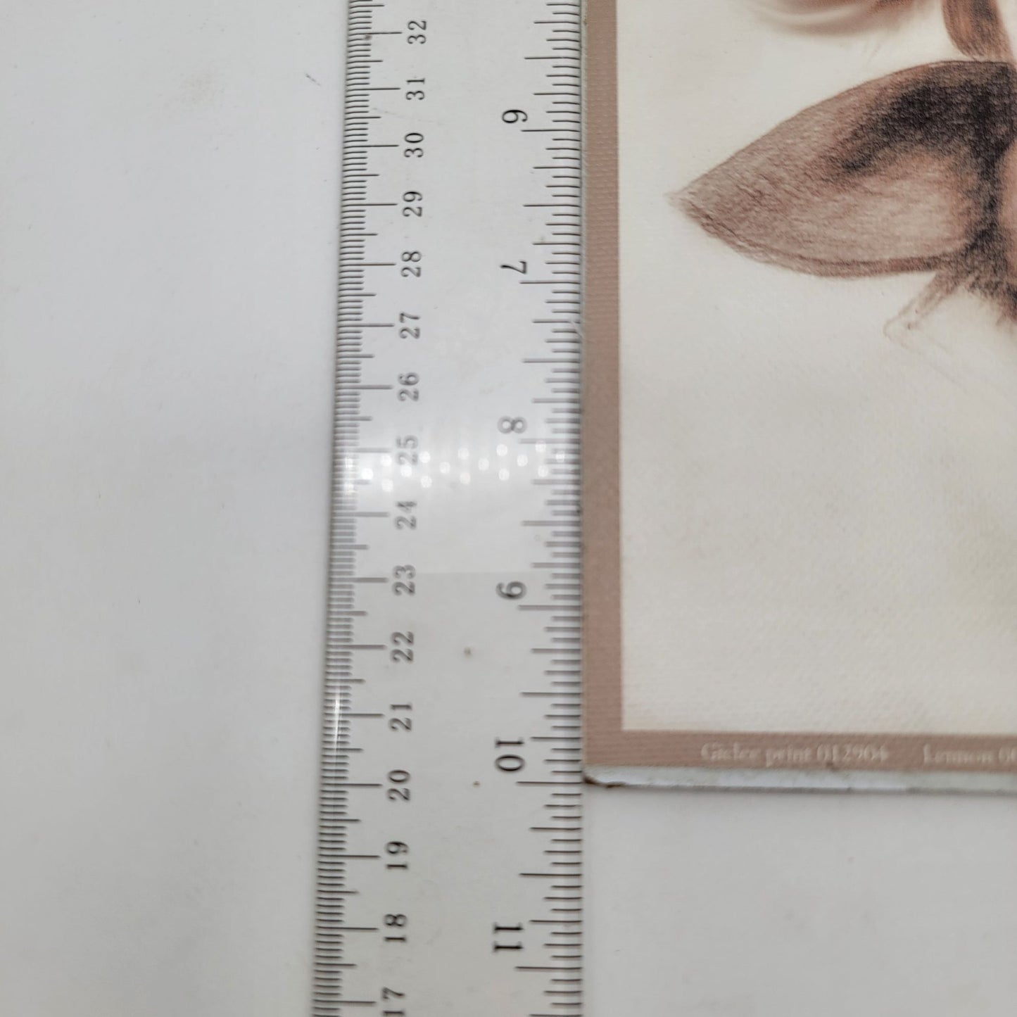 "Lennon" Giclee Print On Canvas Mounted on Claybord Signed 001/250 By John A. Wood 2004