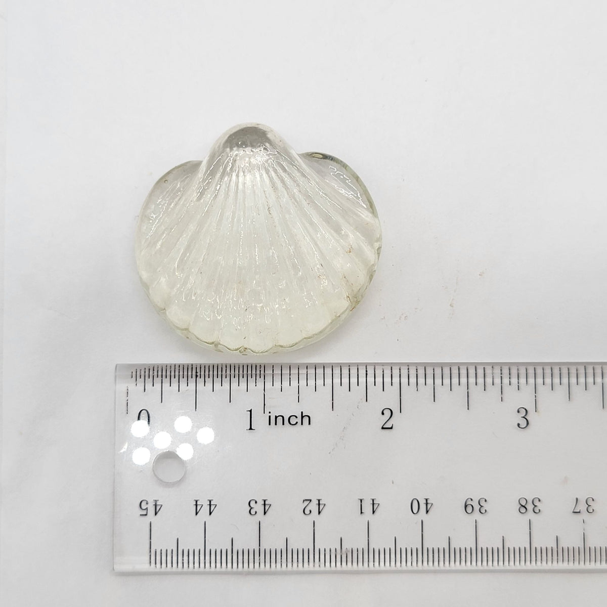 Vintage Clear Glass Seashells Set Of 2
