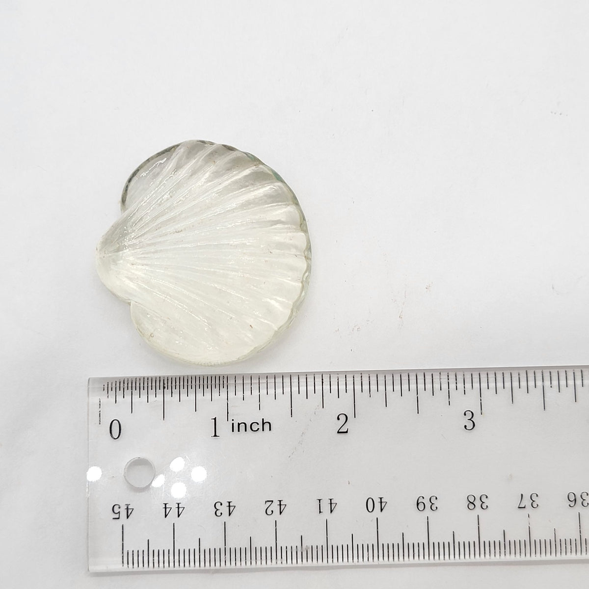 Vintage Clear Glass Seashells Set Of 2