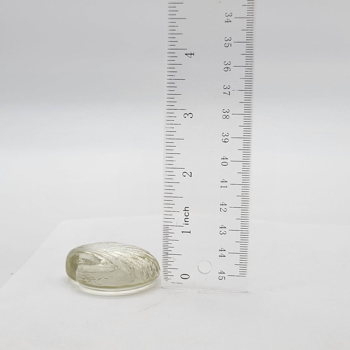 Vintage Clear Glass Seashells Set Of 2