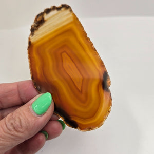 Natural Raw Edge Golden Laguna Banded Agate Slice