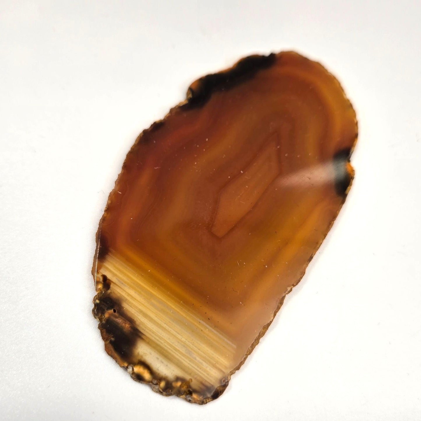 Natural Raw Edge Golden Laguna Banded Agate Slice