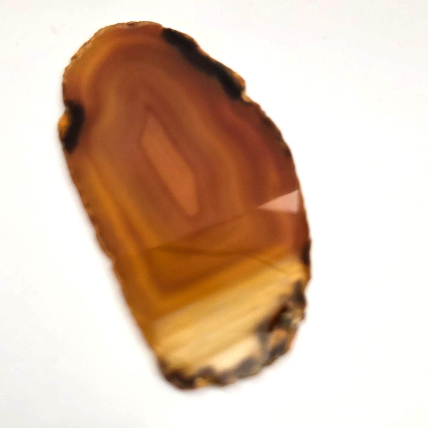 Natural Raw Edge Golden Laguna Banded Agate Slice