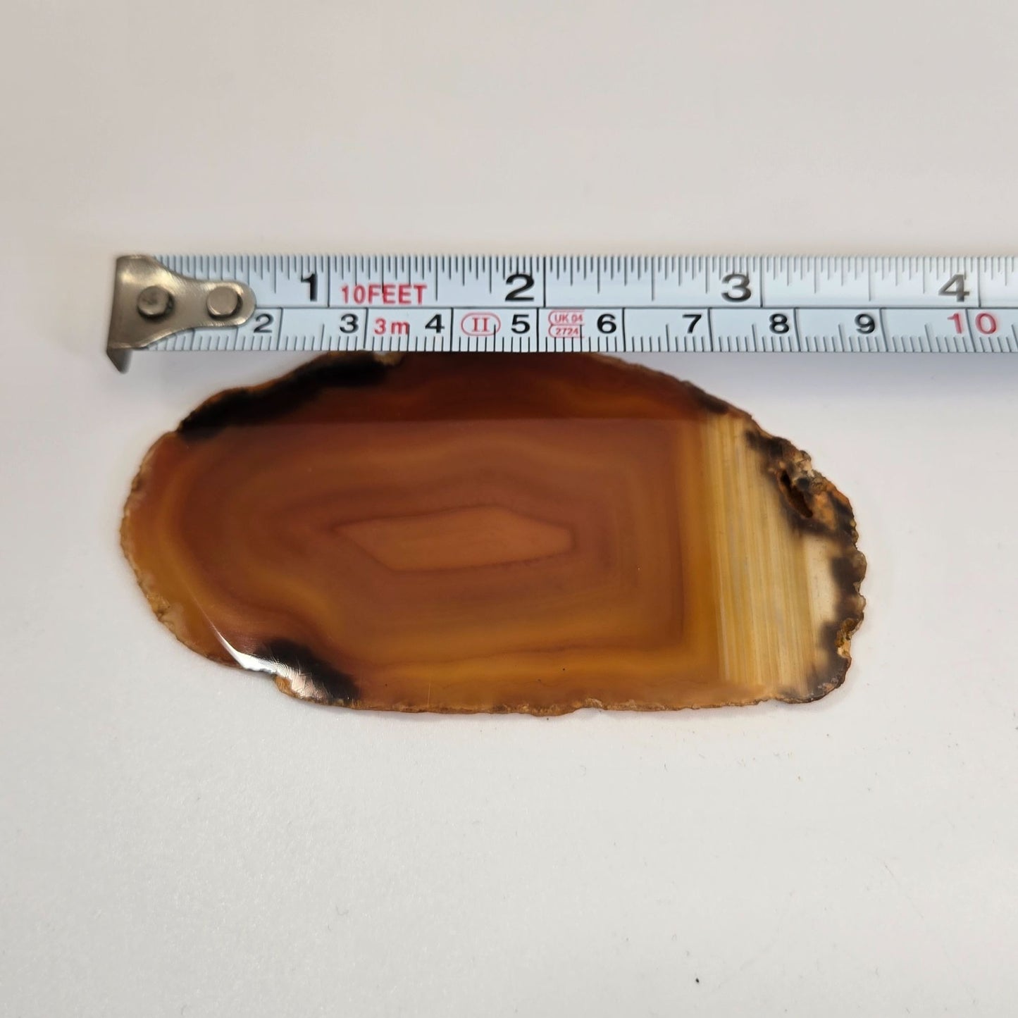Natural Raw Edge Golden Laguna Banded Agate Slice