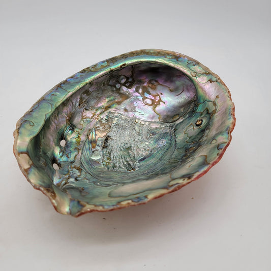 Vintage Red California Abalone Shell Trinket Dish or Smudging Dish