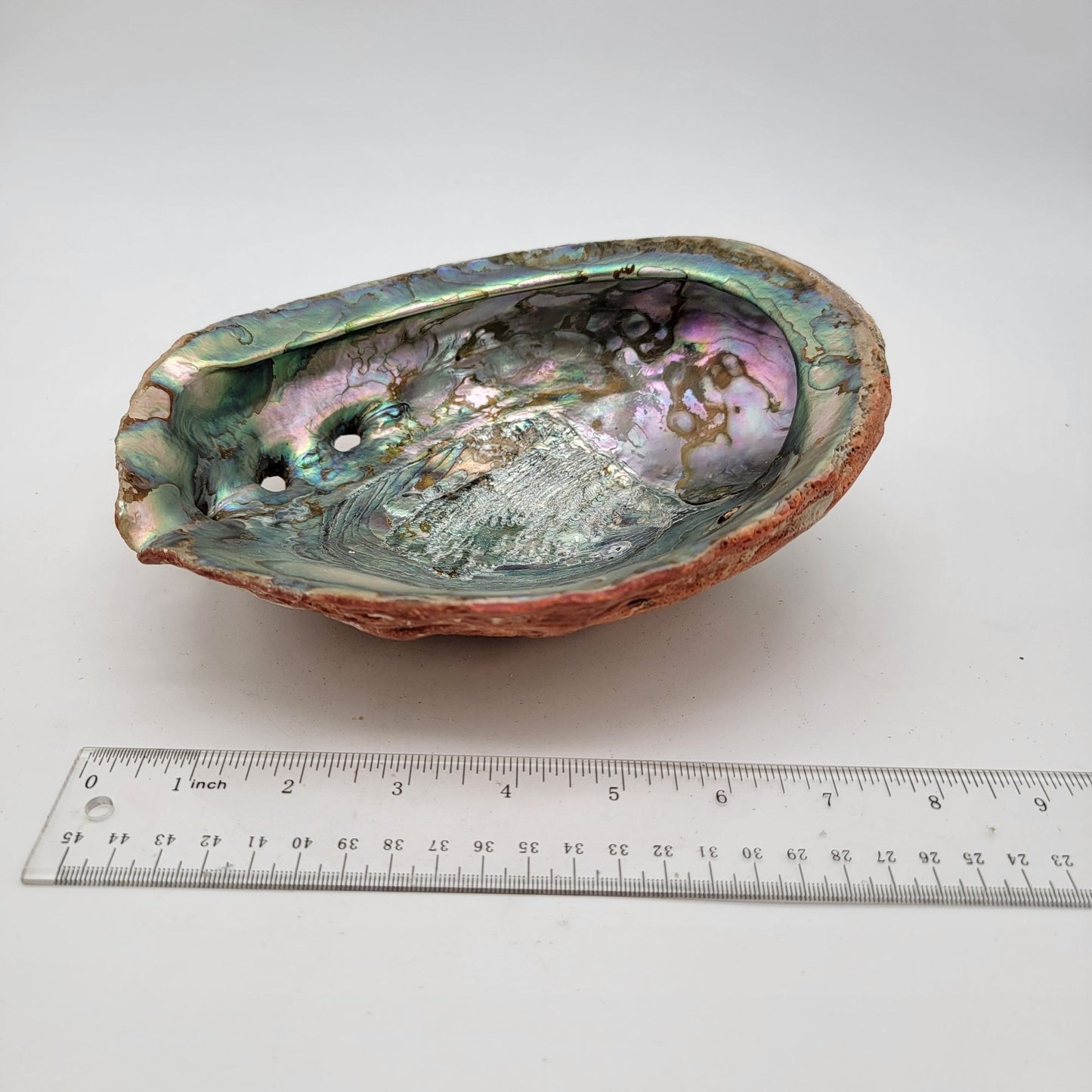 Vintage Red California Abalone Shell Trinket Dish or Smudging Dish
