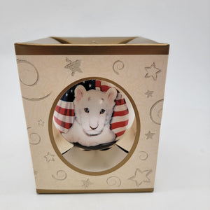 Descriptive image text