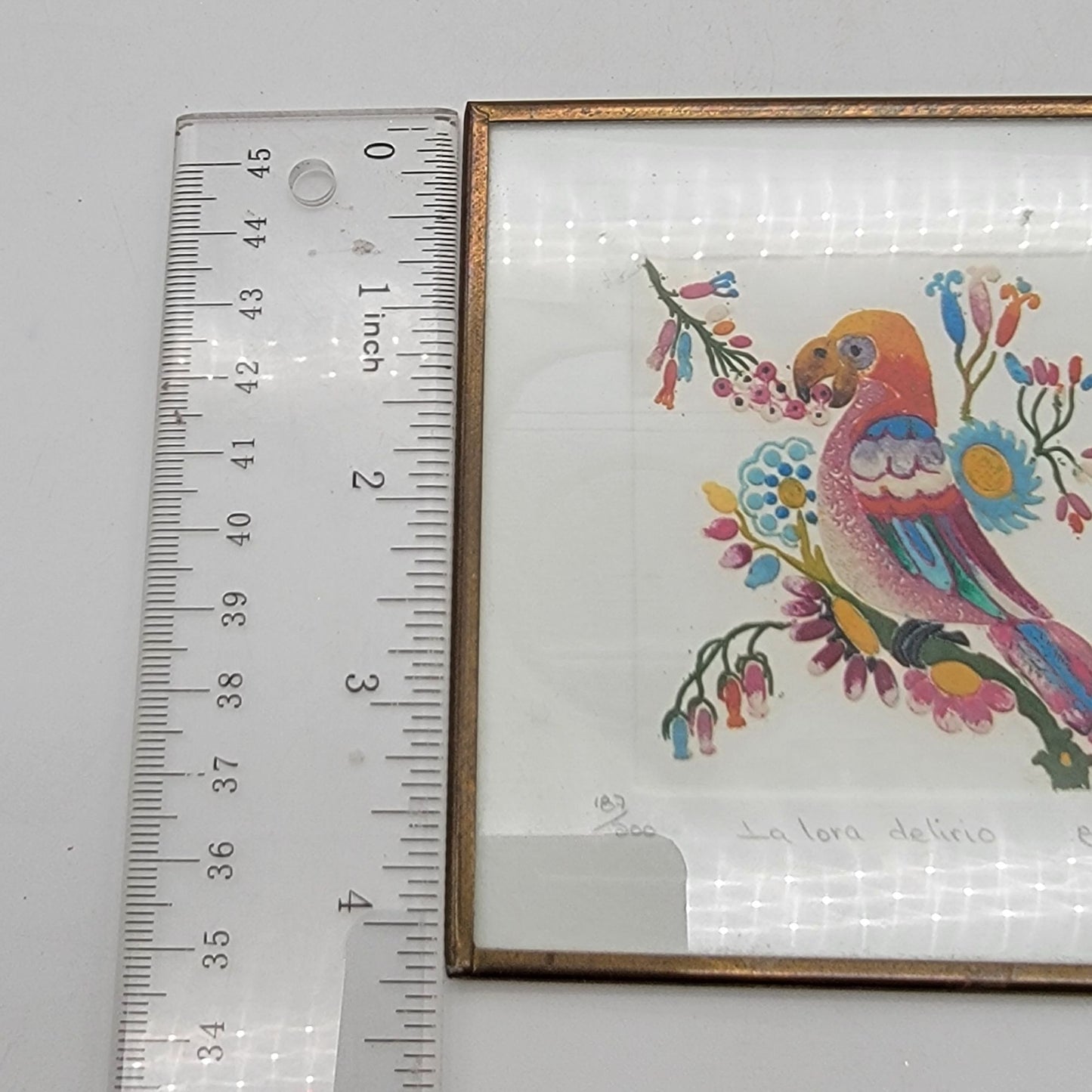 La Lora Delirio Signed Mexican Traditional Bird Art Framed