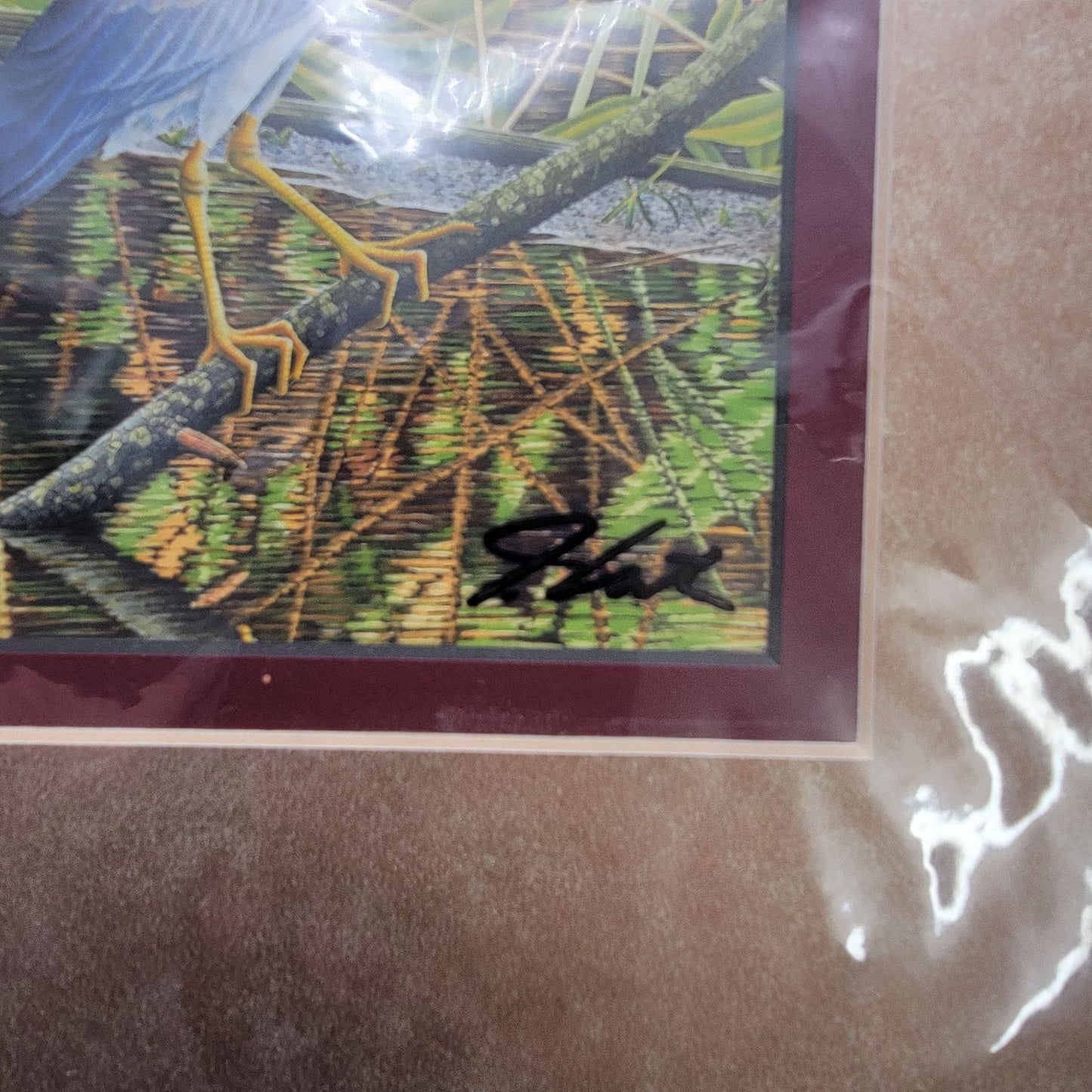 "Black-Crowned Night-Heron" Lithograph Print Signed John Costin