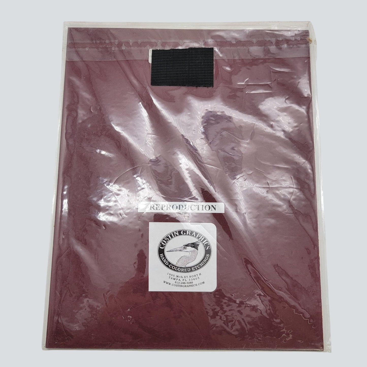 "Black-Crowned Night-Heron" Lithograph Print Signed John Costin