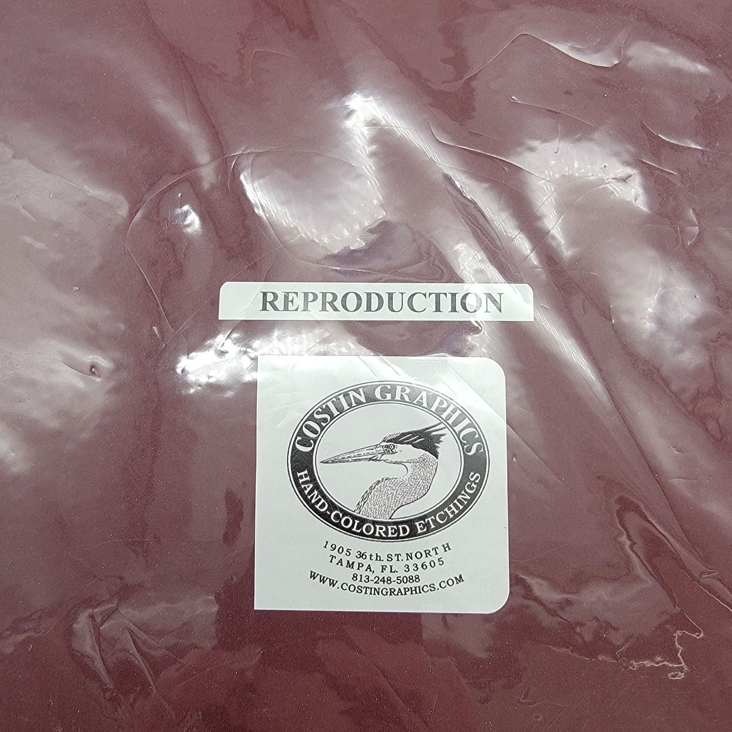 "Black-Crowned Night-Heron" Lithograph Print Signed John Costin