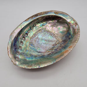 Vintage Red Abalone Shell Smudging Dish 7" x 5,5"
