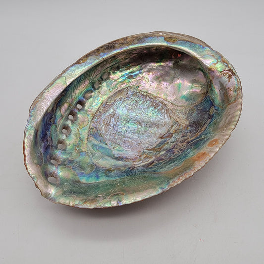 Vintage Red Abalone Shell Smudging Dish 7" x 5,5"