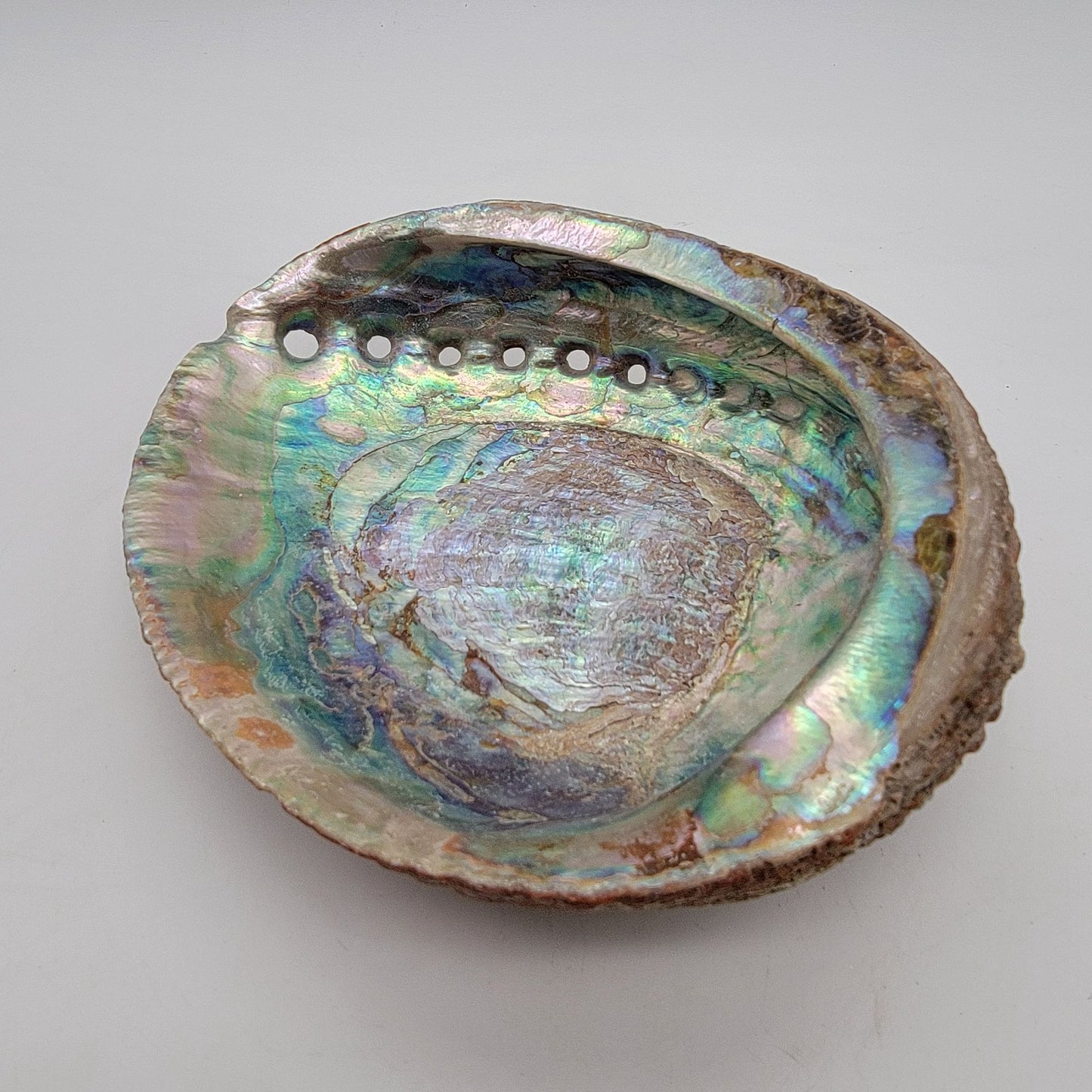 Vintage Red Abalone Shell Smudging Dish 7" x 5,5"