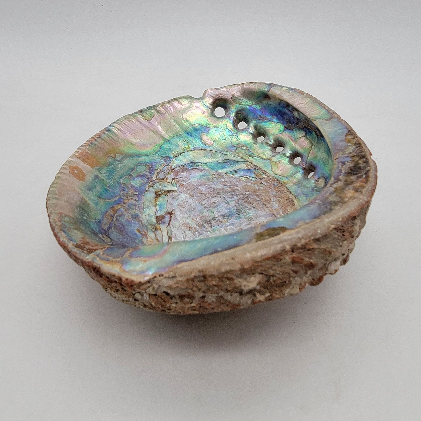 Vintage Red Abalone Shell Smudging Dish 7" x 5,5"