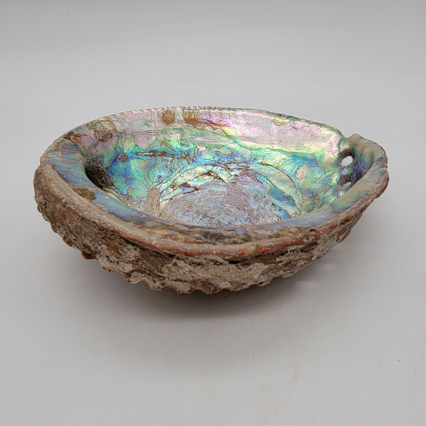 Vintage Red Abalone Shell Smudging Dish 7" x 5,5"