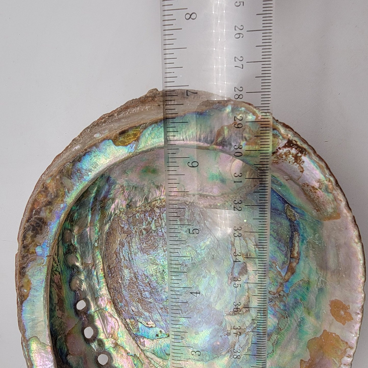Vintage Red Abalone Shell Smudging Dish 7" x 5,5"