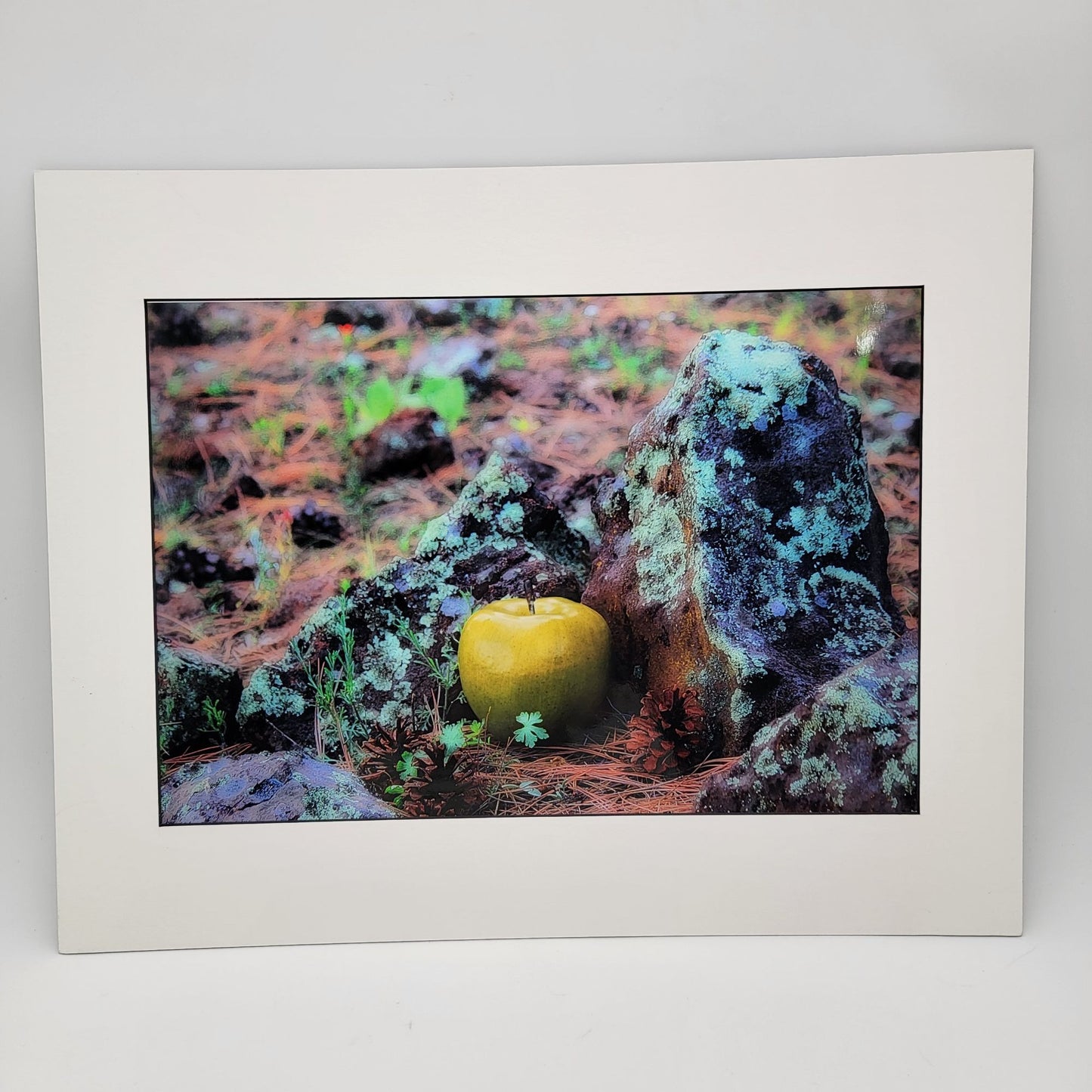 "Lost Apple In The Woods" Artistic Print By Gina Geldbach-Hall 2021 16x20" Metal Paper Firegal Designs COA Framed Art