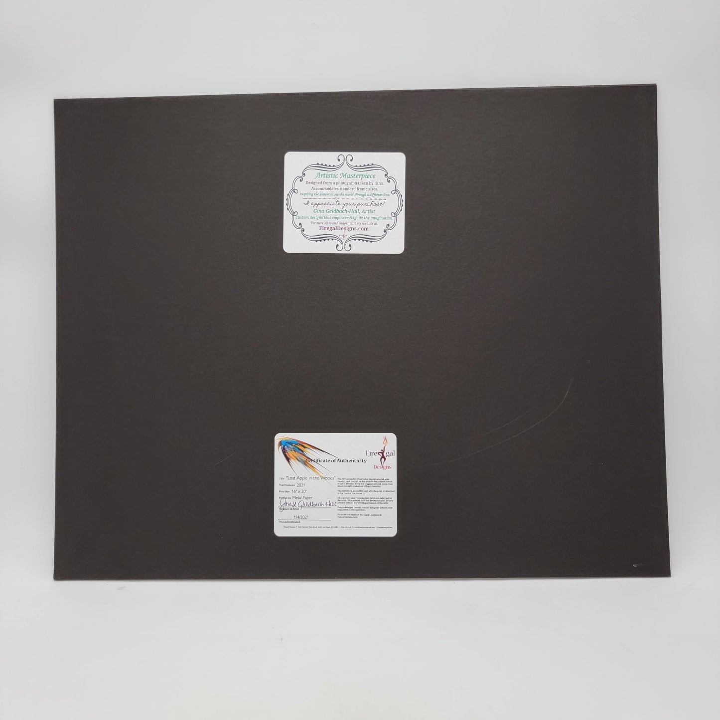 "Lost Apple In The Woods" Artistic Print By Gina Geldbach-Hall 2021 16x20" Metal Paper Firegal Designs COA Framed Art