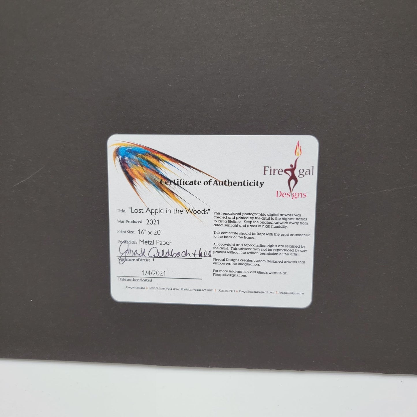 "Lost Apple In The Woods" Artistic Print By Gina Geldbach-Hall 2021 16x20" Metal Paper Firegal Designs COA Framed Art