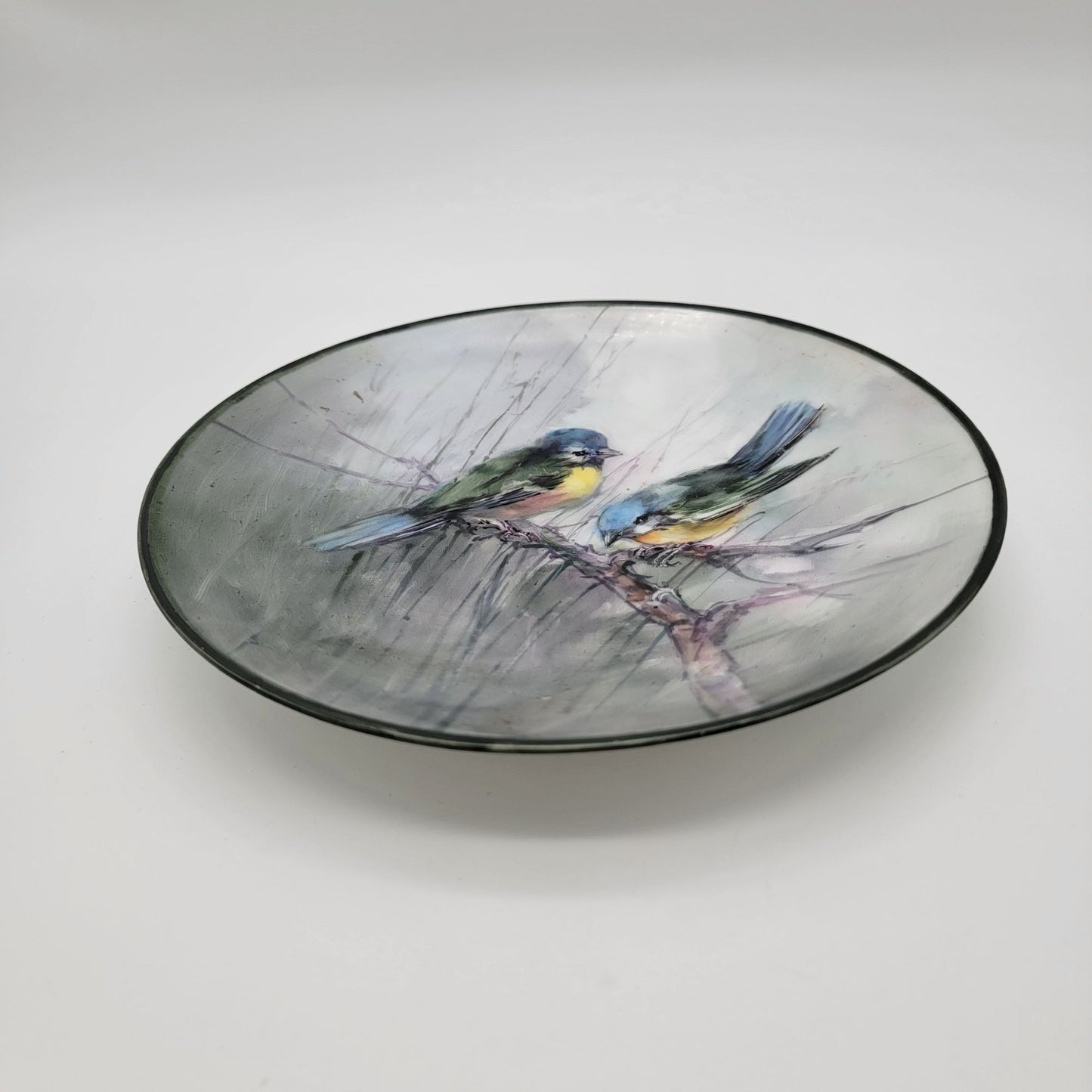 Vintage Thomas Bavaria Porcelain Plate With Hand-Painted Birds