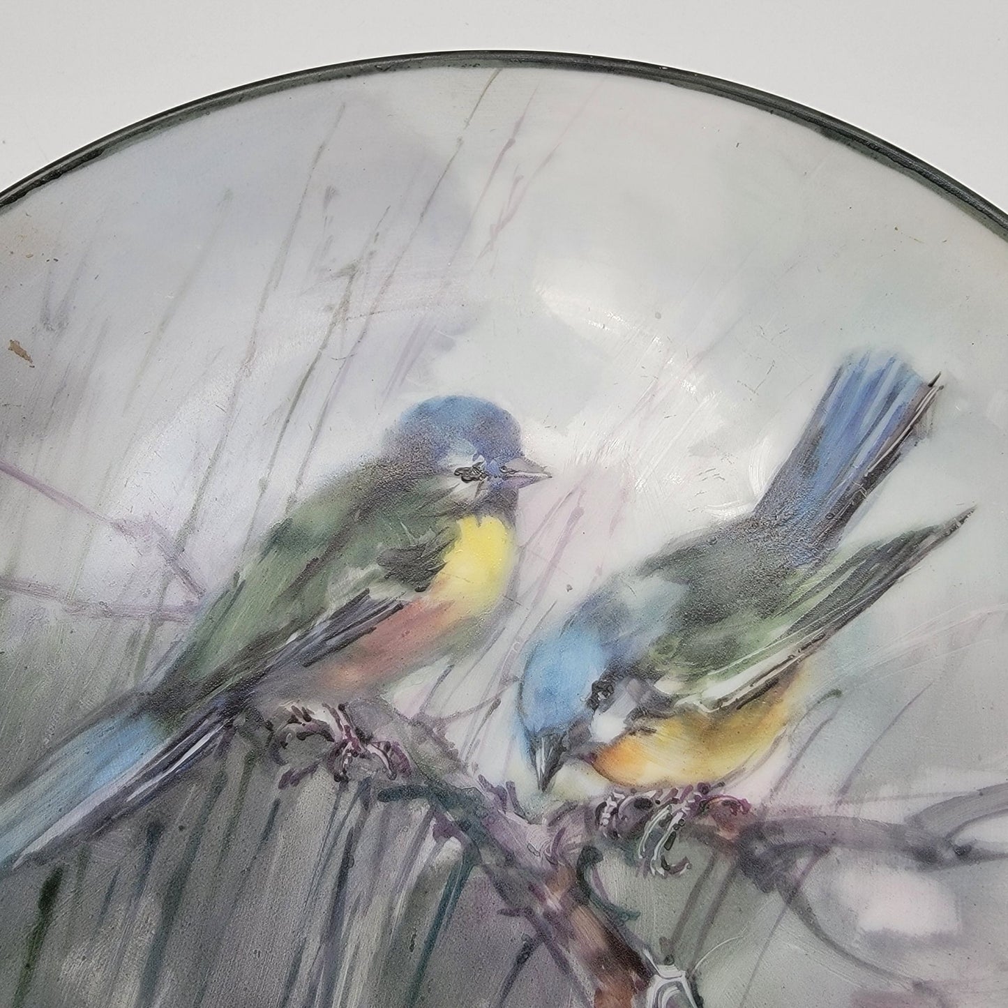 Vintage Thomas Bavaria Porcelain Plate With Hand-Painted Birds