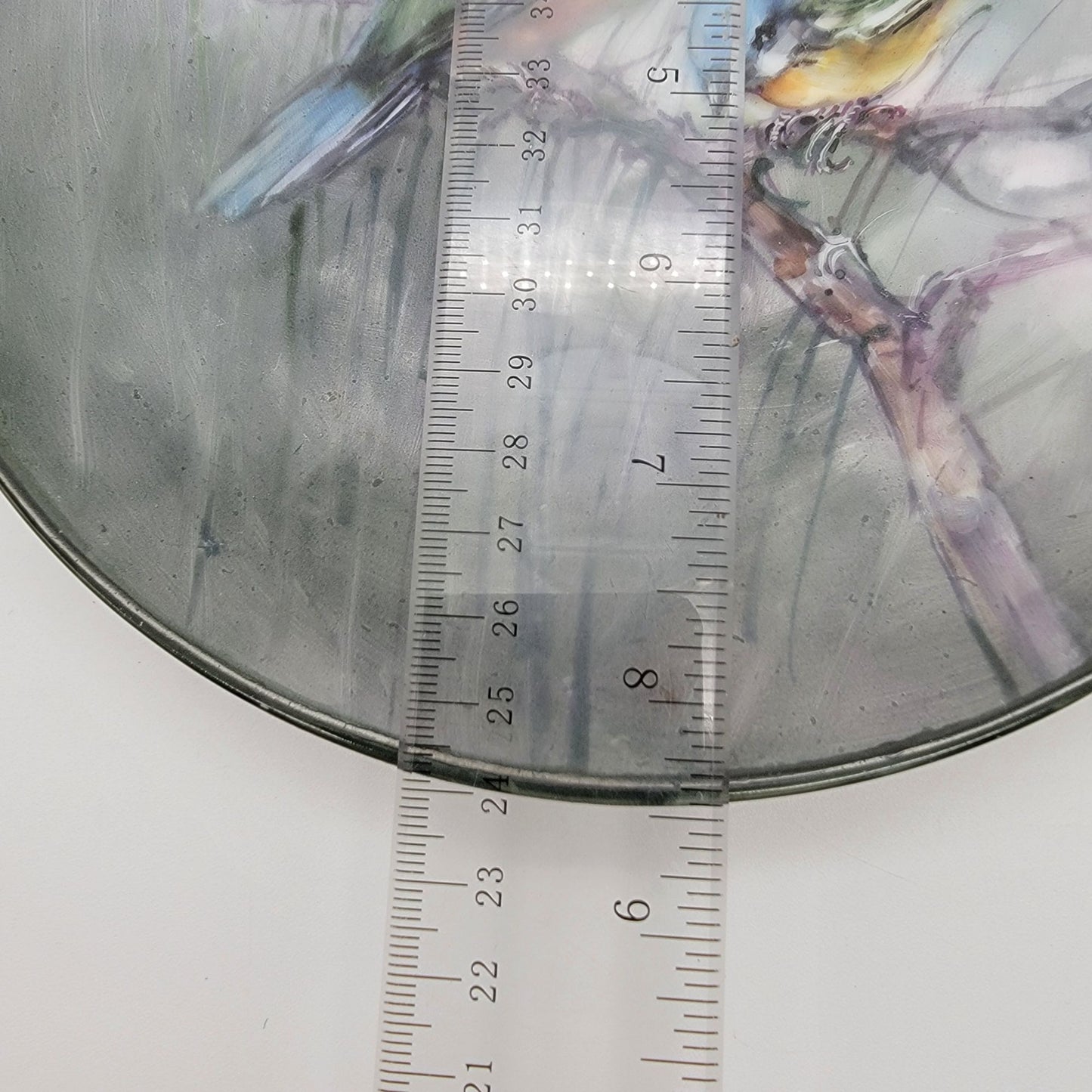 Vintage Thomas Bavaria Porcelain Plate With Hand-Painted Birds