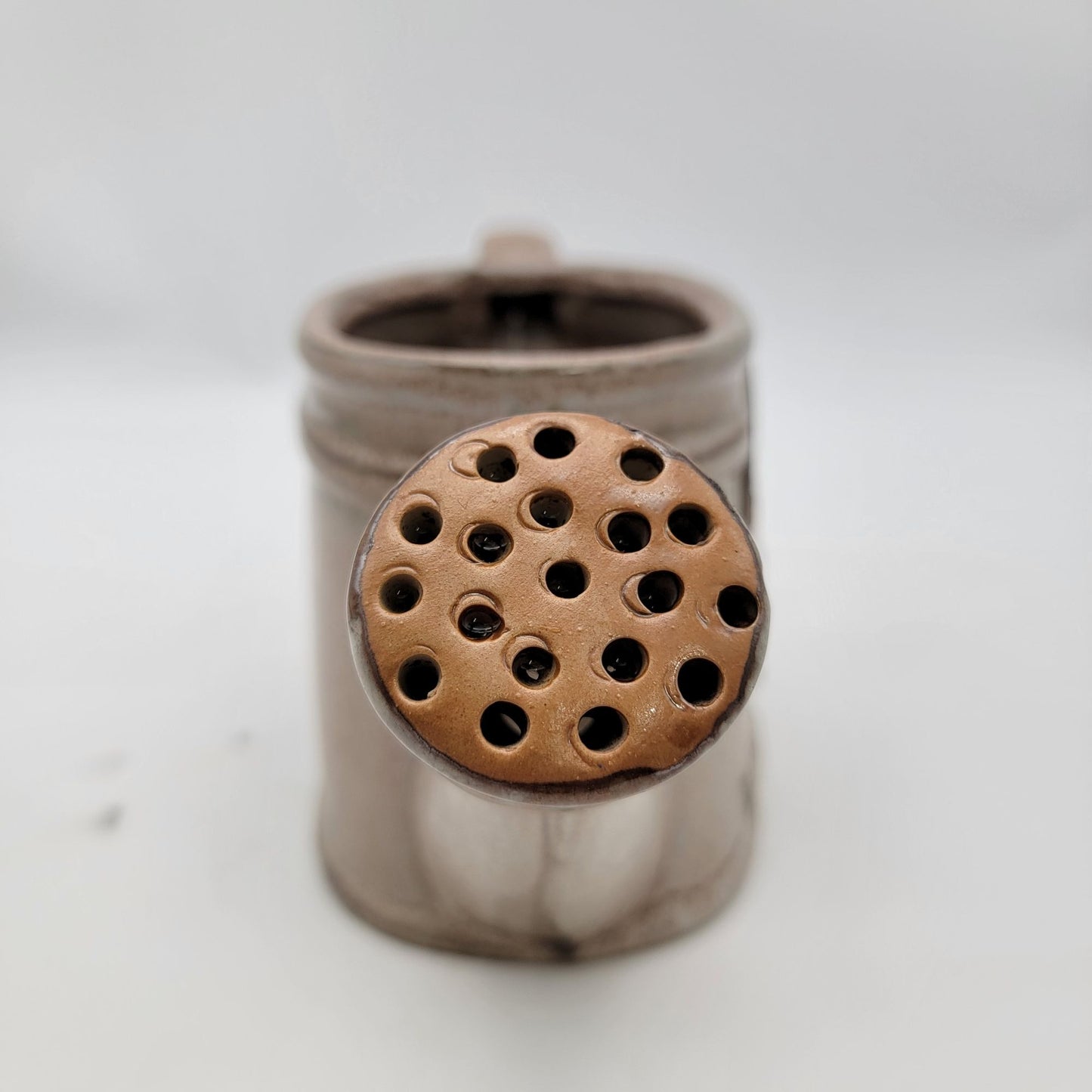 Decorative Watering Can Planter With Butterfly Welcome
