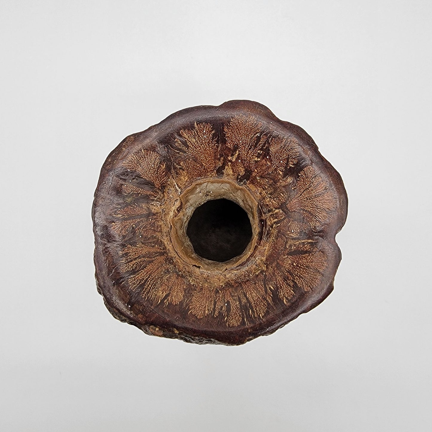 Vintage Hand-Carved Chrysanthemum Burl Wood Candle Holder