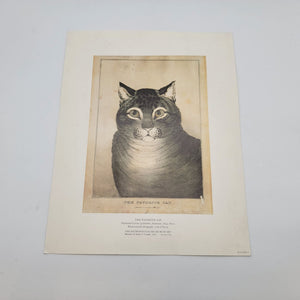 MMA The Favorite Cat By Nathaniel Currier Print Poster