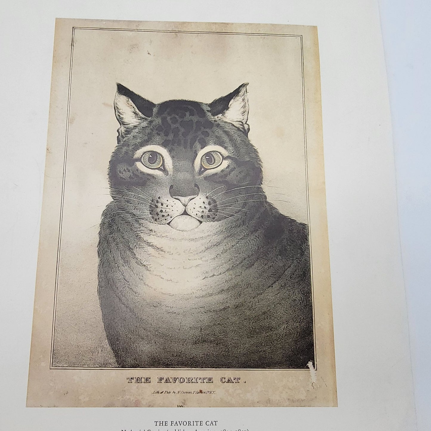 MMA The Favorite Cat By Nathaniel Currier Print Poster