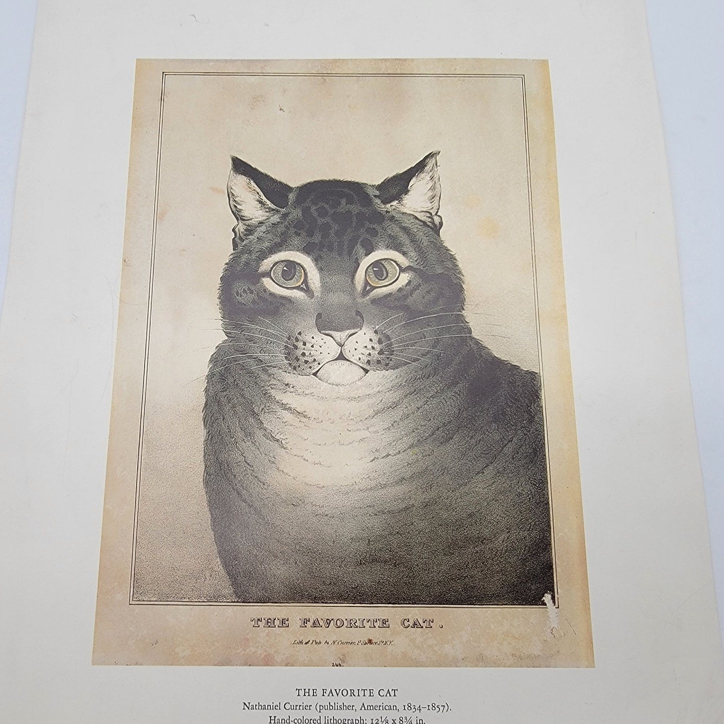 MMA The Favorite Cat By Nathaniel Currier Print Poster