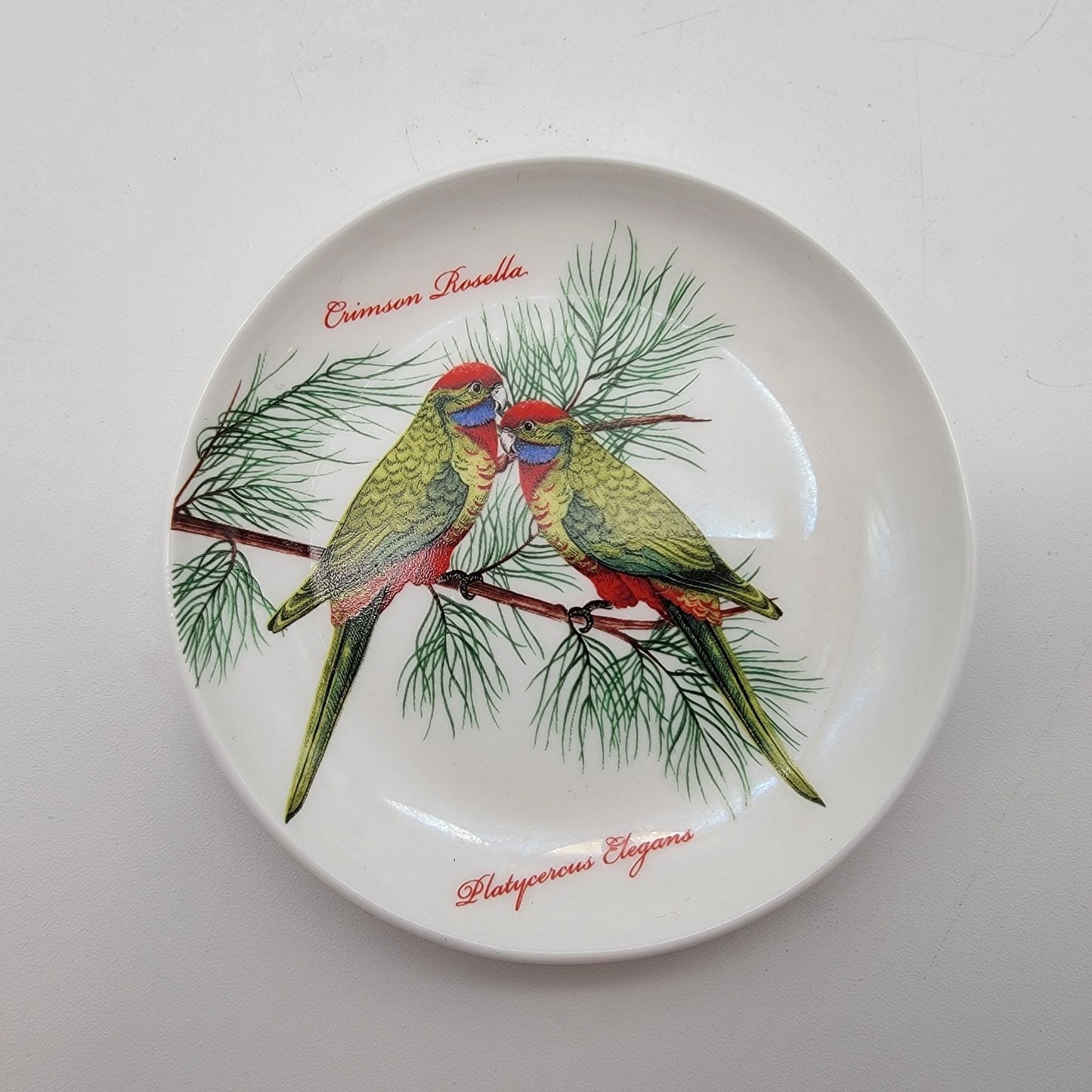 Dan Samuels Australia Crimson Rosella Fine Bone China Trinket Dish
