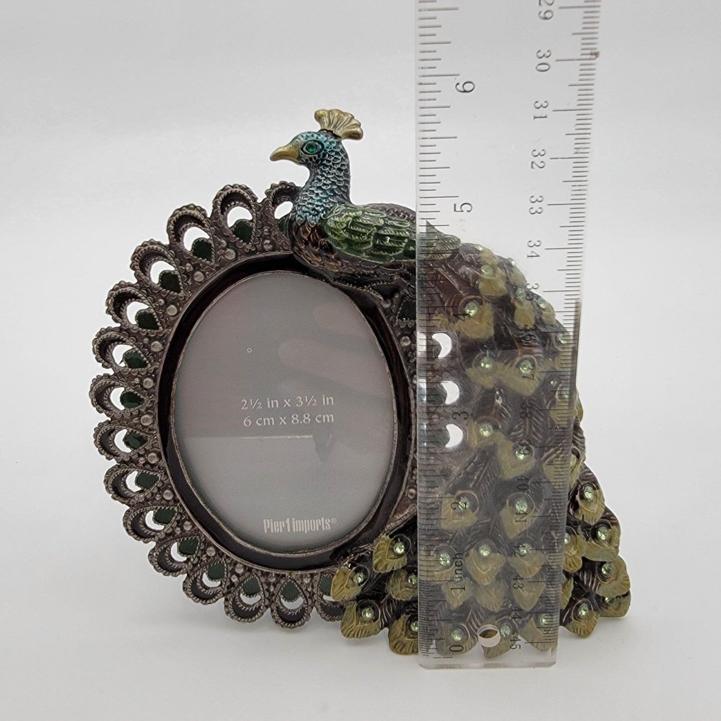 Pier 1 Imports Oval Peacock Picture Frame