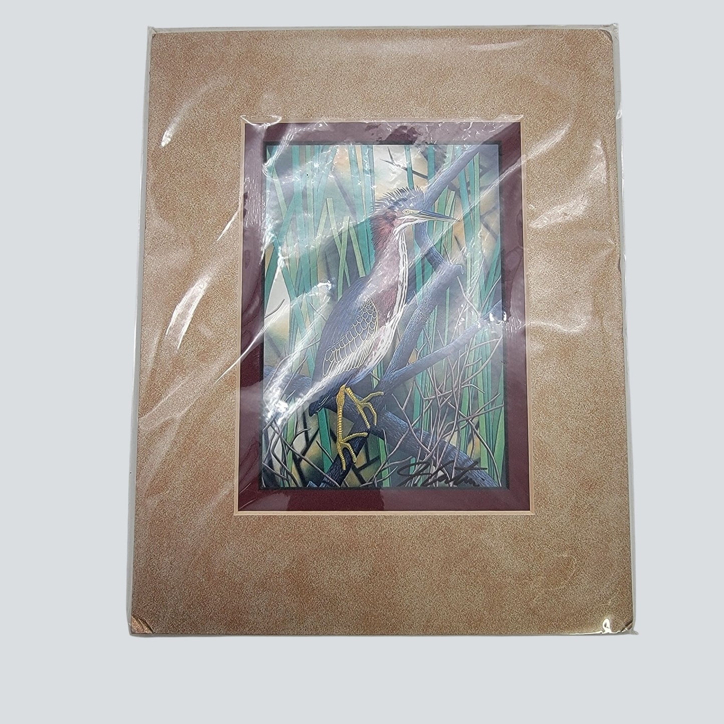 "Green Heron" Hand-Colored Lithograph By John Costin Matted Wall Art Signed