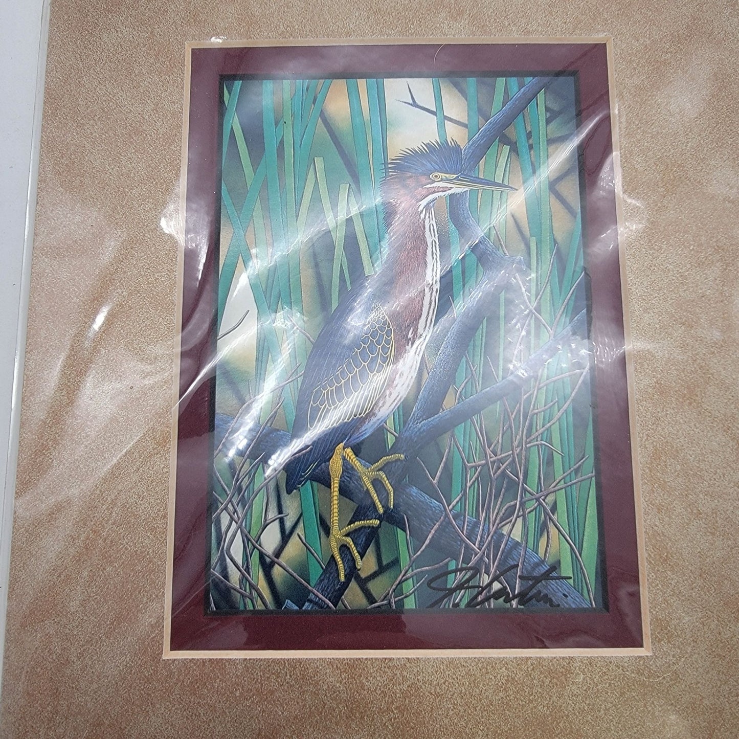 "Green Heron" Hand-Colored Lithograph By John Costin Matted Wall Art Signed