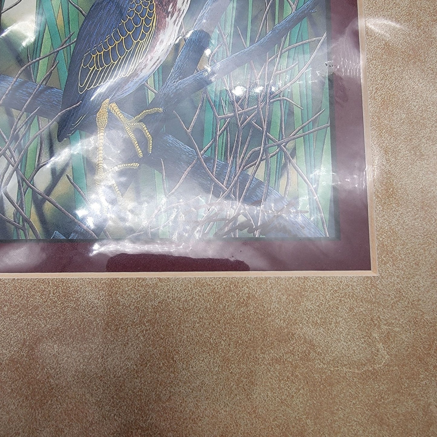 "Green Heron" Hand-Colored Lithograph By John Costin Matted Wall Art Signed