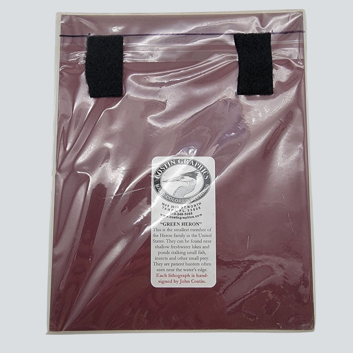 "Green Heron" Hand-Colored Lithograph By John Costin Matted Wall Art Signed