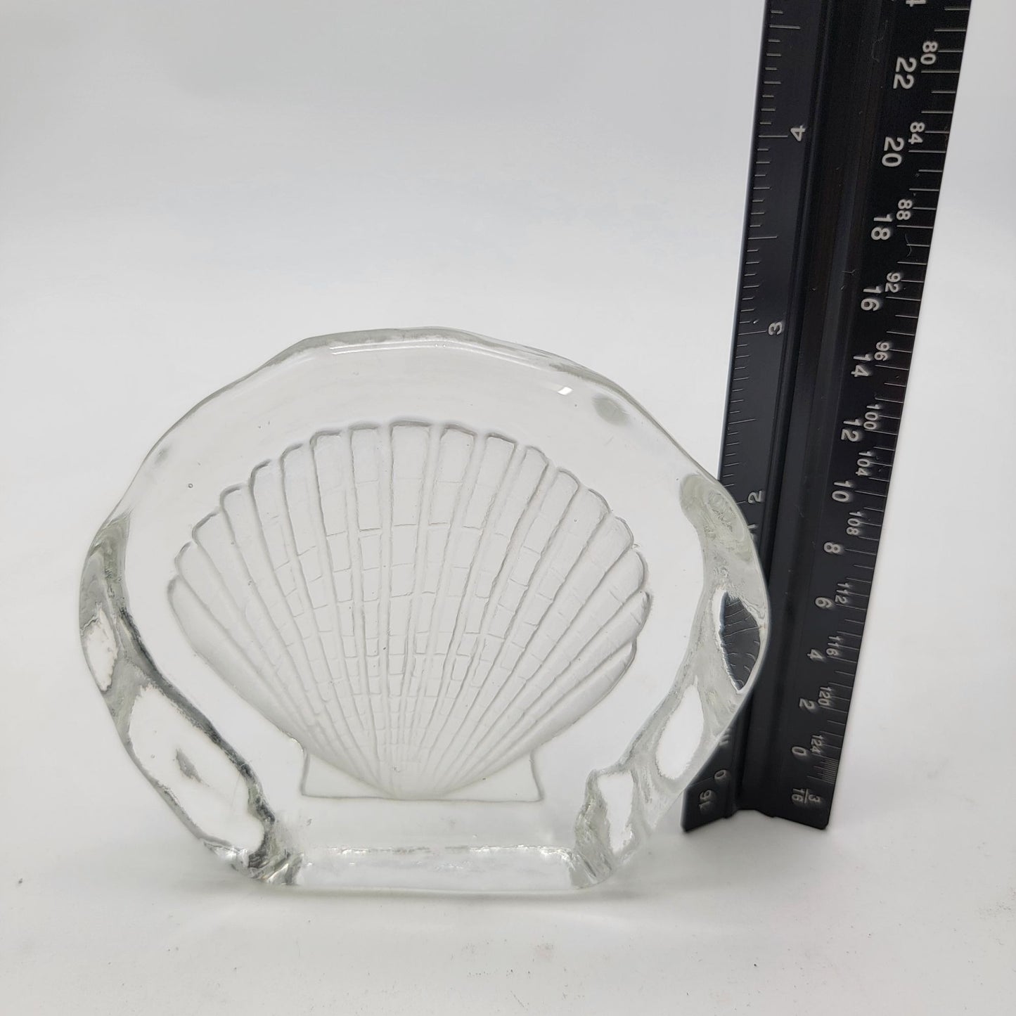 Intaglio Reverse Carved Scallop Shell Clear Glass Paperweight