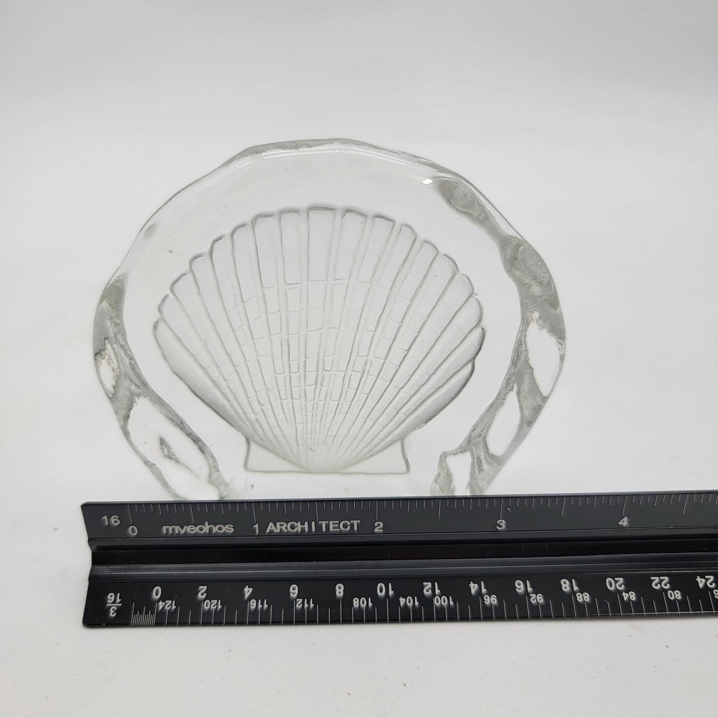 Intaglio Reverse Carved Scallop Shell Clear Glass Paperweight