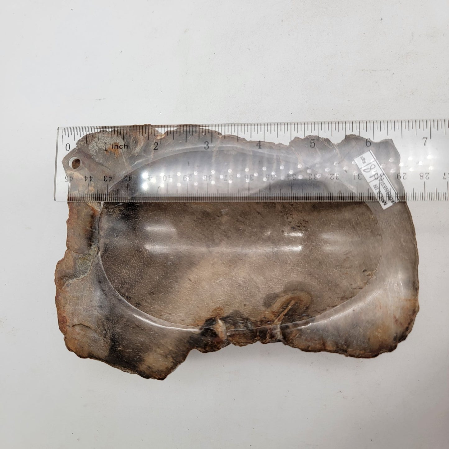 Handcarved Polished Petrified Wood Fossil Bowl Trinket Dish