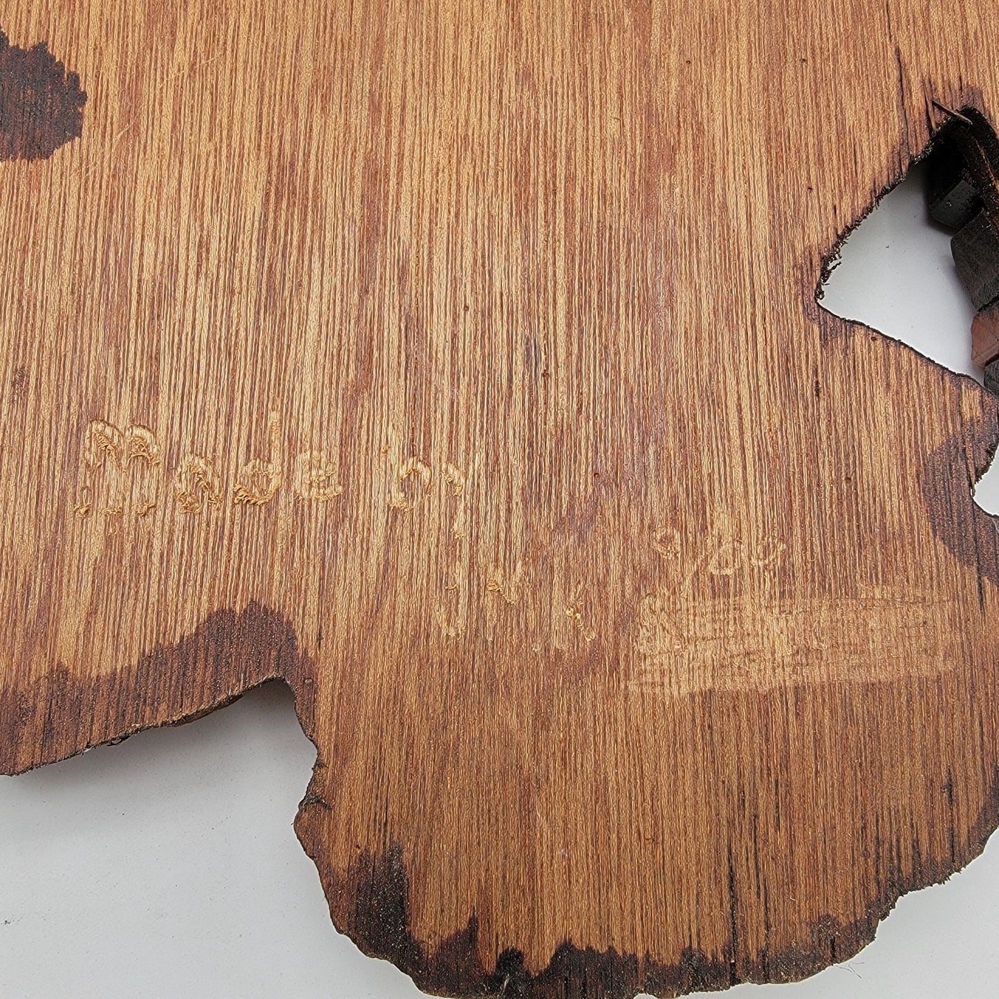 Vintage Intarsia Wood Wall Art Butterfly On Leaves