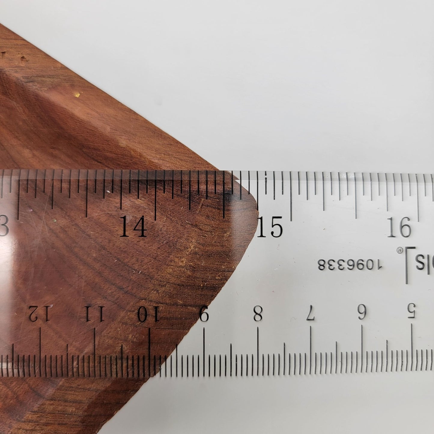 Hand Carved Wood Clam Shell Bowl