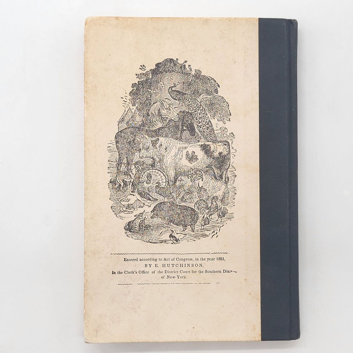Ladies Indispensable Assistant 1852 Hardcover