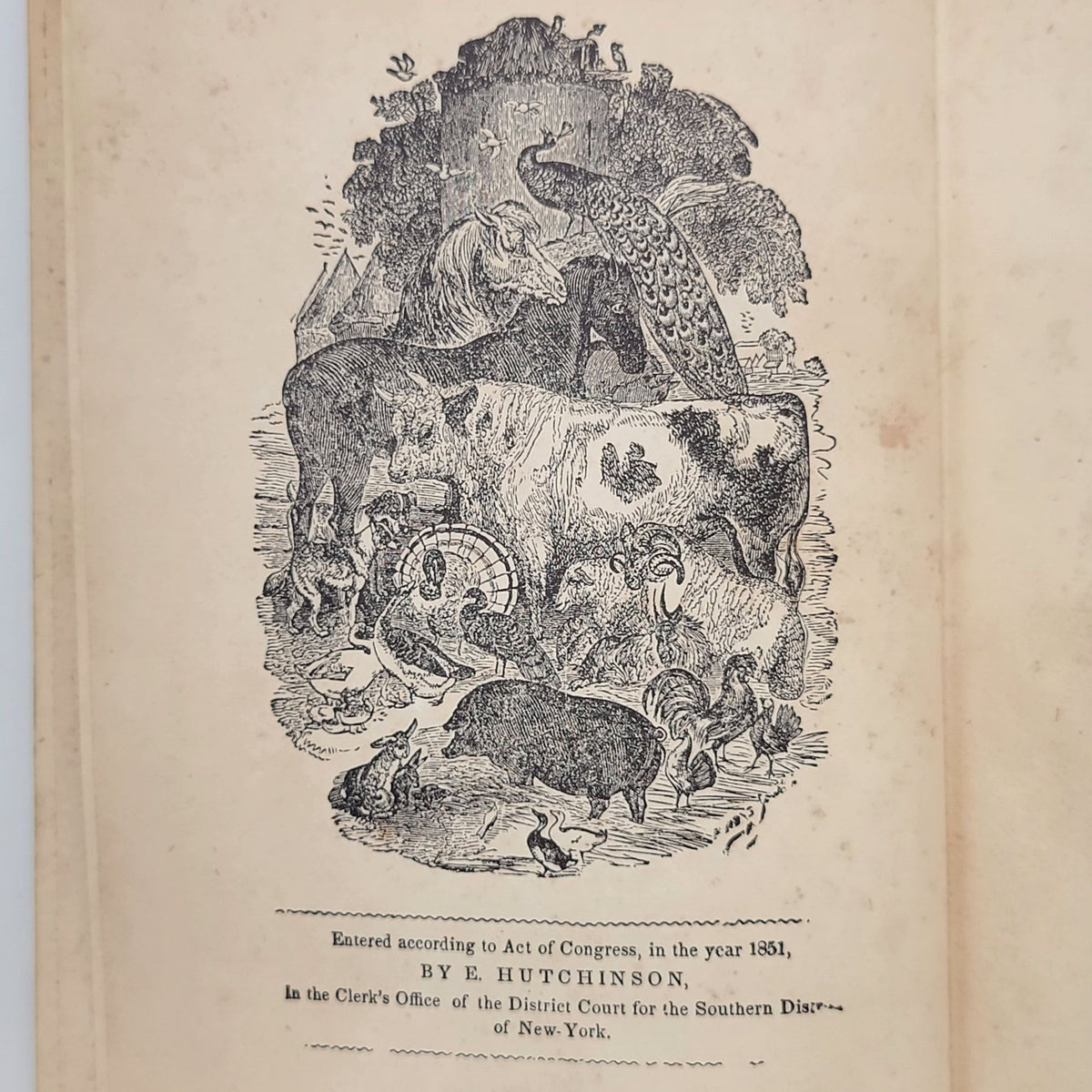 Ladies Indispensable Assistant 1852 Hardcover