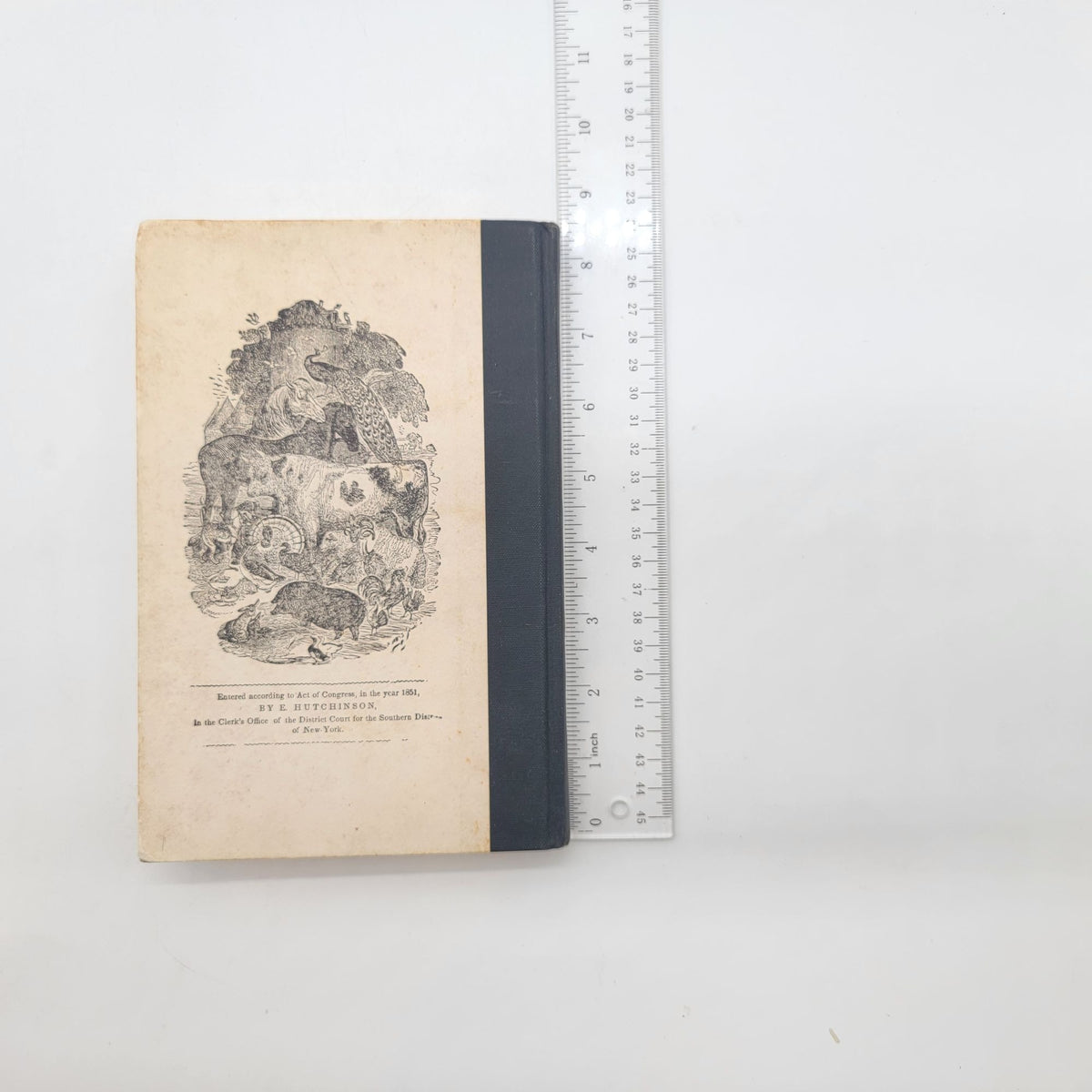 Ladies Indispensable Assistant 1852 Hardcover
