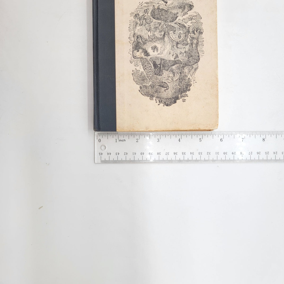 Ladies Indispensable Assistant 1852 Hardcover
