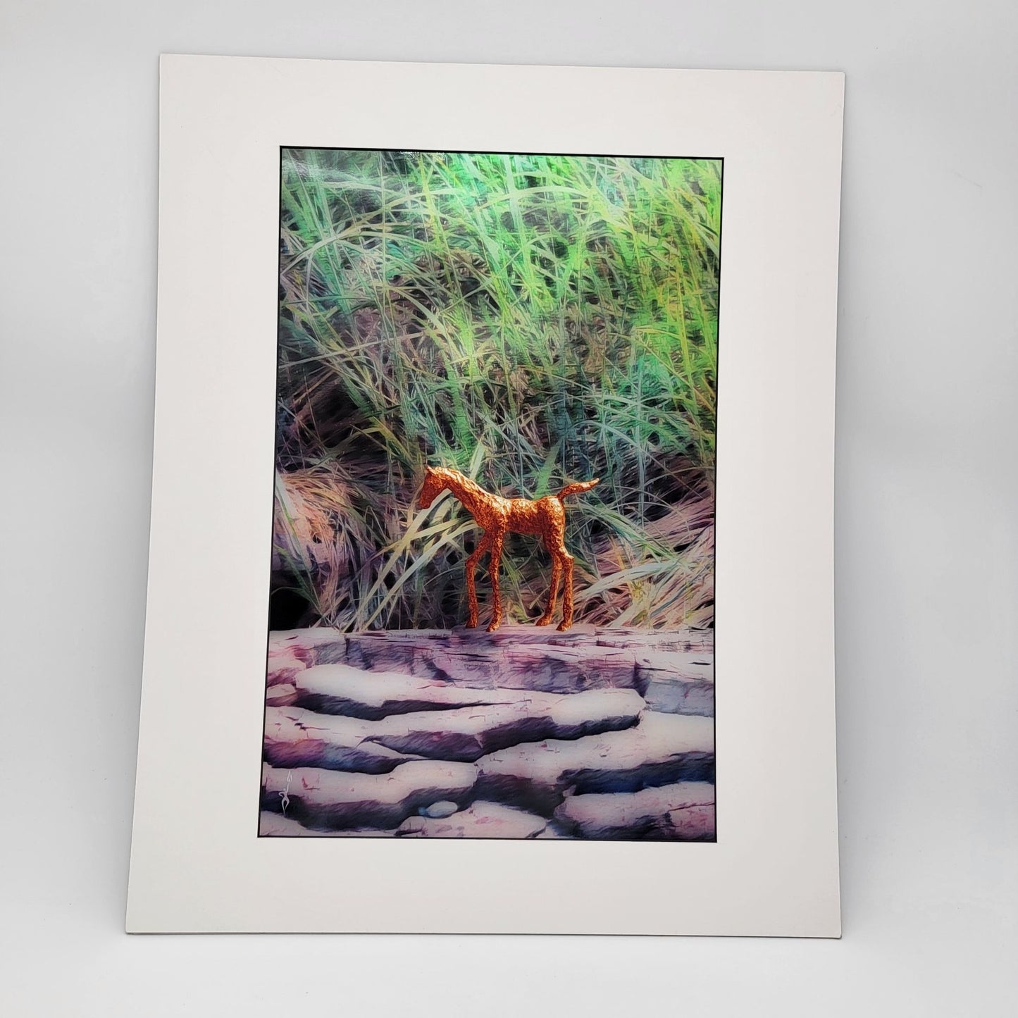 "On The Bluff" 16x20" Photograph Print By Gina Geldbach-Hall Firegal Designs COA